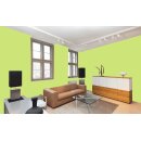 Auro Profi-Lehmfarbe 535 - Colours for life - frog green 10