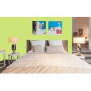 Auro Profi-Lehmfarbe 535 - Colours for life - frog green 10