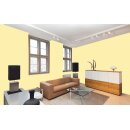 Auro Profi-Lehmfarbe 535 - Colours for life - golden honey 20