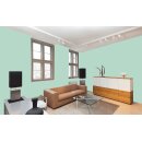 Auro Profi-Lehmfarbe 535 - Colours for life - good woodruff 15