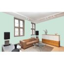 Auro Profi-Lehmfarbe 535 - Colours for life - good woodruff 20