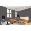 Auro Profi-Lehmfarbe 535 - Colours for life - granite stone
