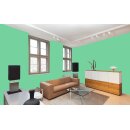 Auro Profi-Lehmfarbe 535 - Colours for life - green lizard 05