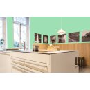 Auro Profi-Lehmfarbe 535 - Colours for life - green lizard 10