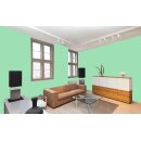 Auro Profi-Lehmfarbe 535 - Colours for life - green lizard 10