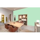 Auro Profi-Lehmfarbe 535 - Colours for life - green lizard 15