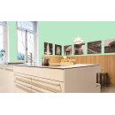 Auro Profi-Lehmfarbe 535 - Colours for life - green lizard 15