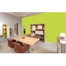 Auro Profi-Lehmfarbe 535 - Colours for life - green yellow