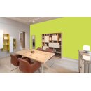 Auro Profi-Lehmfarbe 535 - Colours for life - green yellow 05