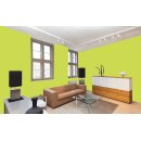 Auro Profi-Lehmfarbe 535 - Colours for life - green yellow 05