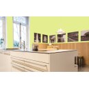 Auro Profi-Lehmfarbe 535 - Colours for life - green yellow 15