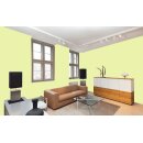 Auro Profi-Lehmfarbe 535 - Colours for life - green yellow 20