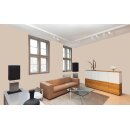 Auro Profi-Lehmfarbe 535 - Colours for life - hazelnut 20