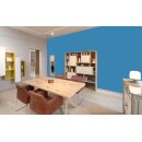 Auro Profi-Lehmfarbe 535 - Colours for life - high sky