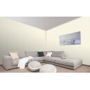 Auro Profi-Lehmfarbe 535 - Colours for life - hint of mint