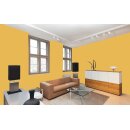 Auro Profi-Lehmfarbe 535 - Colours for life - hot mustard 05