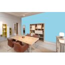 Auro Profi-Lehmfarbe 535 - Colours for life - ice blue 10