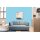 Auro Profi-Lehmfarbe 535 - Colours for life - ice blue 10