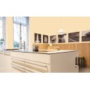 Auro Profi-Lehmfarbe 535 - Colours for life - K05.4 vanilla
