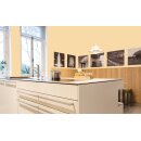 Auro Profi-Lehmfarbe 535 - Colours for life - K05.5 banana