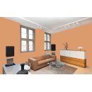 Auro Profi-Lehmfarbe 535 - Colours for life - K1013 sahara
