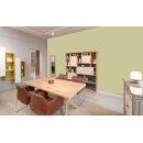 Auro Profi-Lehmfarbe 535 - Colours for life - K290 lime