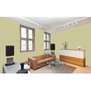 Auro Profi-Lehmfarbe 535 - Colours for life - K290 lime