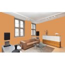 Auro Profi-Lehmfarbe 535 - Colours for life - K500 papaya