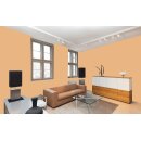 Auro Profi-Lehmfarbe 535 - Colours for life - K501 curry