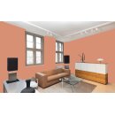 Auro Profi-Lehmfarbe 535 - Colours for life - K504 clay