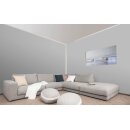 Auro Profi-Lehmfarbe 535 - Colours for life - K95.4 silver