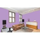 Auro Profi-Lehmfarbe 535 - Colours for life - lilac whisper