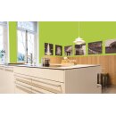 Auro Profi-Lehmfarbe 535 - Colours for life - lime peel