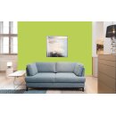 Auro Profi-Lehmfarbe 535 - Colours for life - lime peel 05