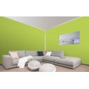 Auro Profi-Lehmfarbe 535 - Colours for life - lime peel 05