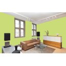Auro Profi-Lehmfarbe 535 - Colours for life - lime peel 10