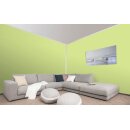 Auro Profi-Lehmfarbe 535 - Colours for life - lime peel 15