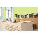 Auro Profi-Lehmfarbe 535 - Colours for life - lime peel 15