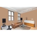 Auro Profi-Lehmfarbe 535 - Colours for life - macadamia 10