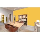 Auro Profi-Lehmfarbe 535 - Colours for life - mango fresh 05