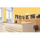 Auro Profi-Lehmfarbe 535 - Colours for life - mango fresh 10