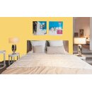 Auro Profi-Lehmfarbe 535 - Colours for life - mango fresh 10