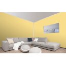 Auro Profi-Lehmfarbe 535 - Colours for life - mango fresh 15