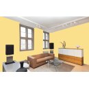 Auro Profi-Lehmfarbe 535 - Colours for life - mango fresh 15