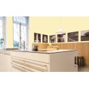 Auro Profi-Lehmfarbe 535 - Colours for life - mango fresh 25