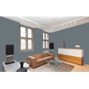 Auro Profi-Lehmfarbe 535 - Colours for life - night shade 05