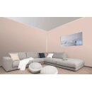 Auro Profi-Lehmfarbe 535 - Colours for life - nutmeg brown 25