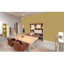 Auro Profi-Lehmfarbe 535 - Colours for life - ochre green 05