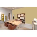 Auro Profi-Lehmfarbe 535 - Colours for life - ochre green 10