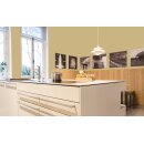 Auro Profi-Lehmfarbe 535 - Colours for life - ochre green 10